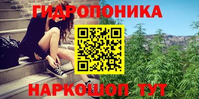 шишки Бугуруслан