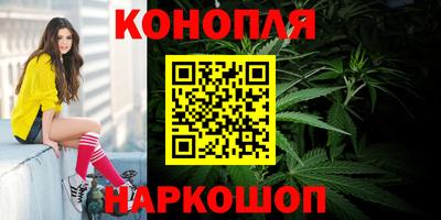 крисы Бузулук