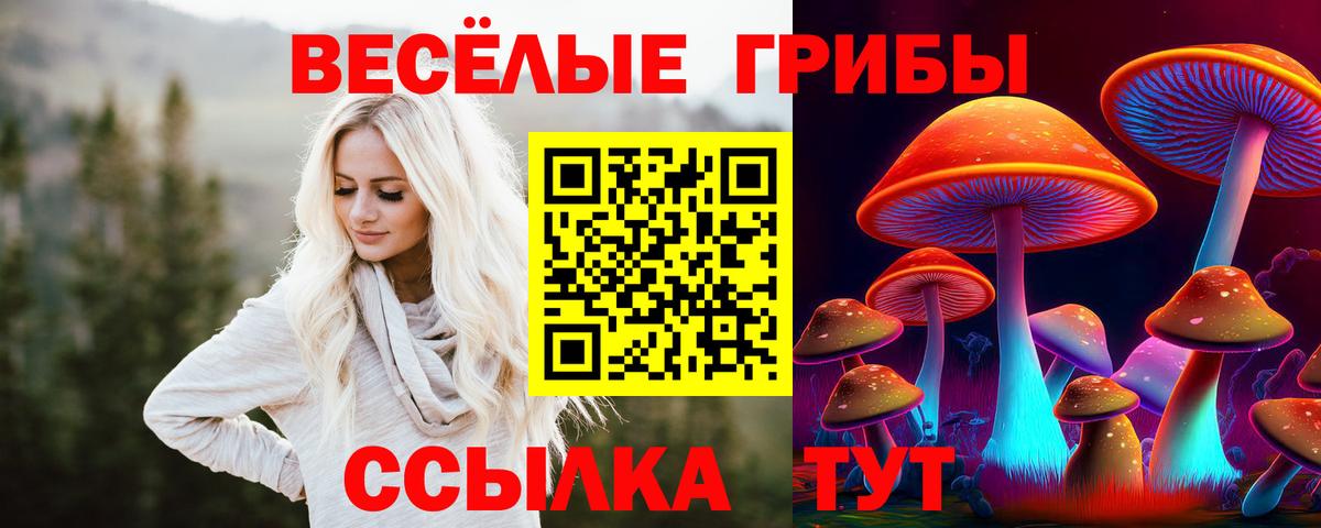 Галлюциногенные грибы Psilocybine cubensis Семилуки