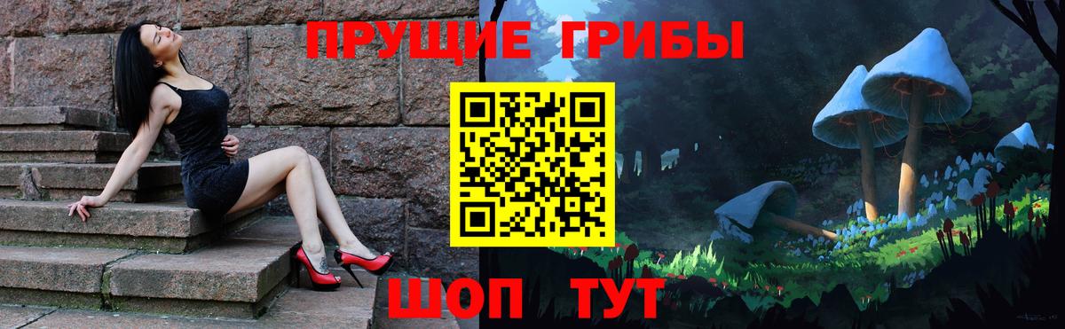 Псилоцибиновые грибы Cubensis  Вход с VPN  Галлюциногенные грибы мицелий  Семилуки 